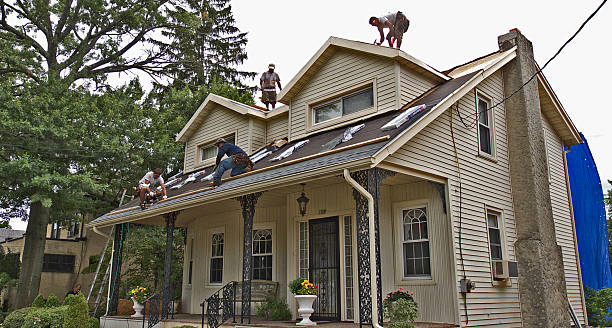 Best New Roof Installation  in Williston, ND